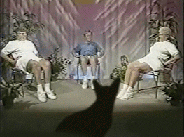 tumblr_mwxzziyt511qg39ewo1_500