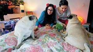 Zazie w „Polityce” czyli: „Drugie życie lalek”