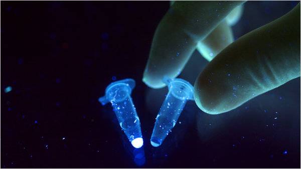 18life-video-articleLarge