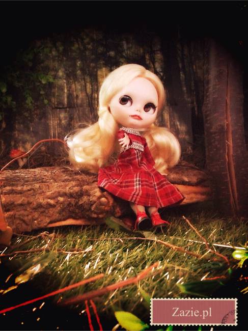 zazie_dolls_lalki_blythe_sesja_dla_polityki_12