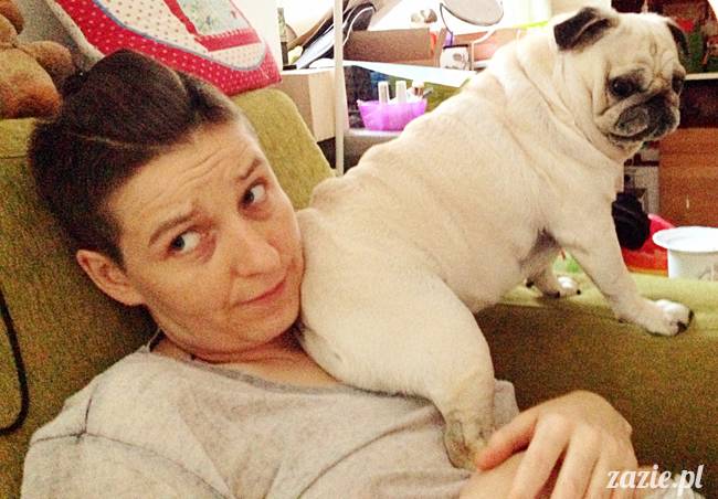 zimowe_mopsiki_domowe