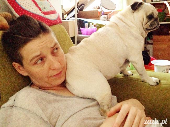 zimowe_mopsiki_domowe