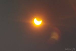 a mulatto, an albino, a mosquito, my libido  ||   total solar eclipse