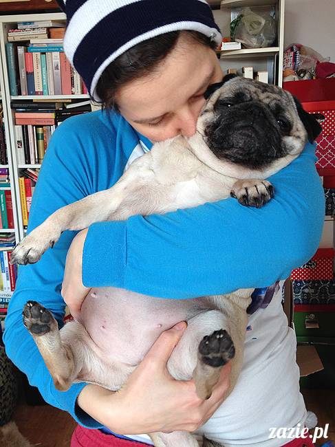 kumok_i_miszur_mopsiki_zazie_02