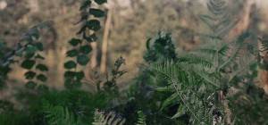 maybe instead I’ll write of all of the dreams I had