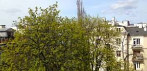 it’s a fine day, people open windows