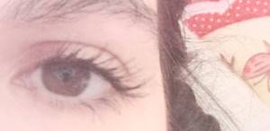 rzeczywistość w pełnym świetle