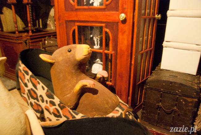 wystawa podziemne życie lalek, teatr lalka, warszawa maj 2015