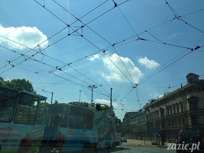 czerwcowe wakacje we Wrocławiu, Syd i Zaz oraz mopsiki Kumok i Miszur