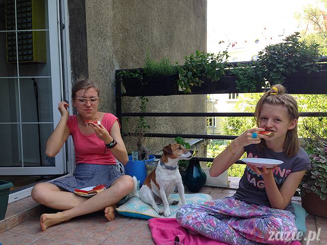 czerwcowe wakacje we Wrocławiu, Syd i Zaz oraz mopsiki Kumok i Miszur