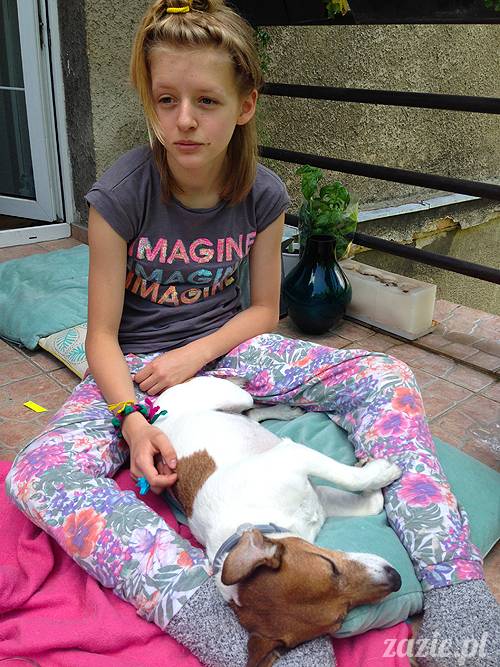 czerwcowe wakacje we Wrocławiu, Syd i Zaz oraz mopsiki Kumok i Miszur