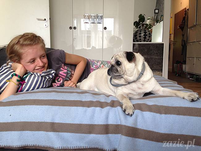 czerwcowe wakacje we Wrocławiu, Syd i Zaz oraz mopsiki Kumok i Miszur