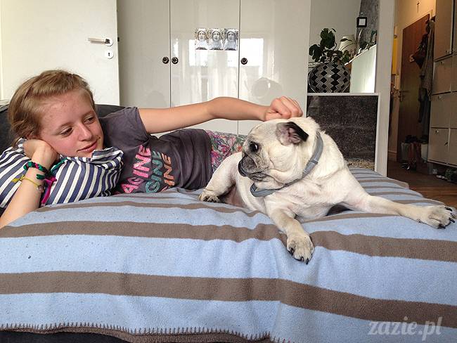 czerwcowe wakacje we Wrocławiu, Syd i Zaz oraz mopsiki Kumok i Miszur