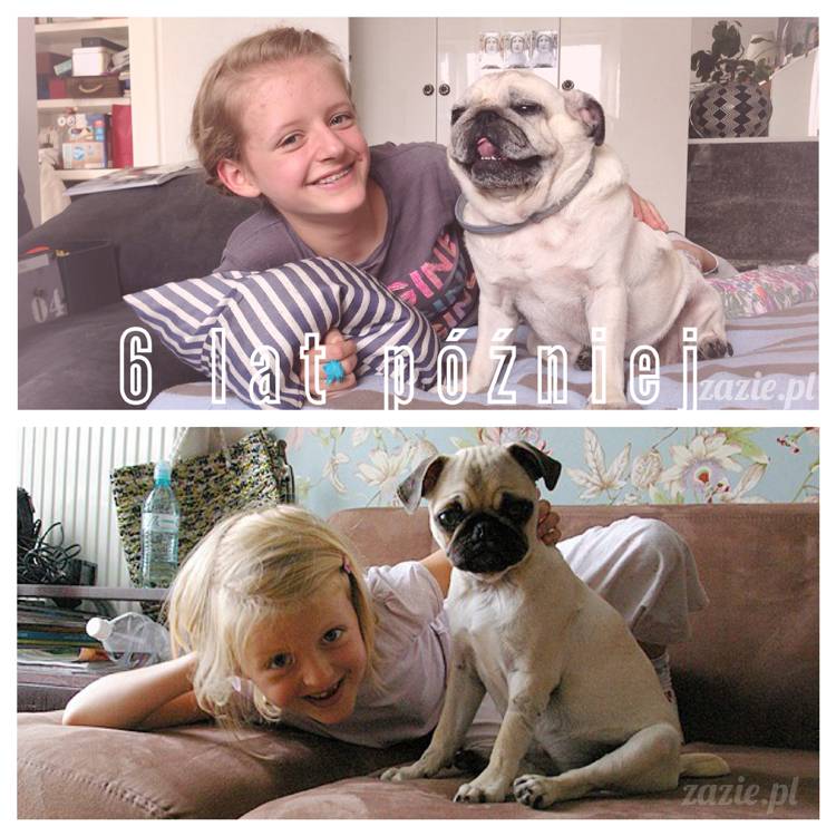 czerwcowe wakacje we Wrocławiu, Syd i Zaz oraz mopsiki Kumok i Miszur