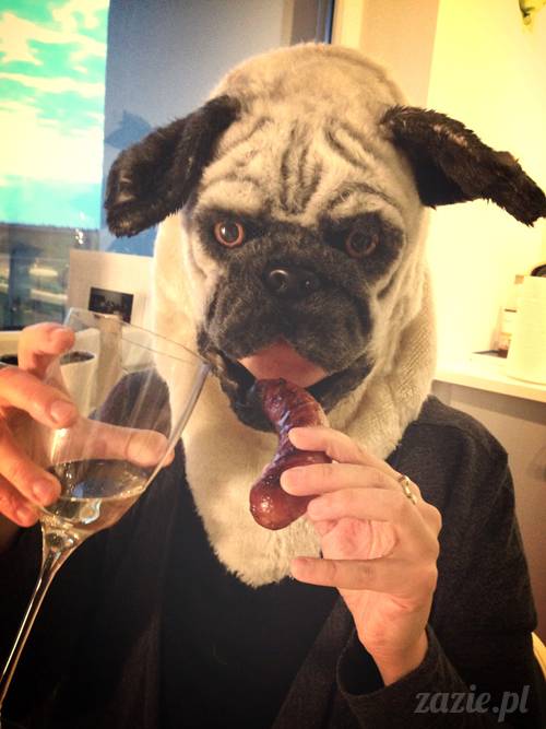 czerwcowe wakacje we Wrocławiu, Syd i Zaz oraz mopsiki Kumok i Miszur