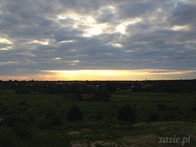 czerwcowe wakacje we Wrocławiu, Syd i Zaz oraz mopsiki Kumok i Miszur