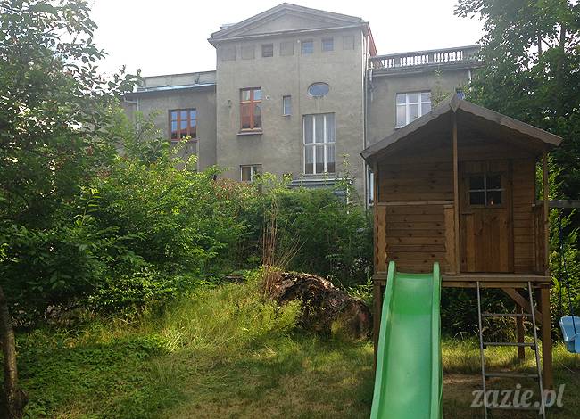 czerwcowe wakacje we Wrocławiu, Syd i Zaz oraz mopsiki Kumok i Miszur