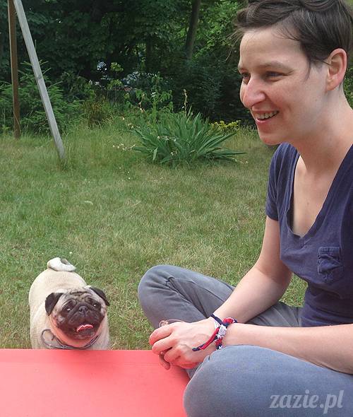 czerwcowe wakacje we Wrocławiu, Syd i Zaz oraz mopsiki Kumok i Miszur