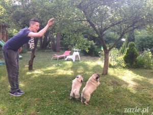 wrocławskie niby-wakacje