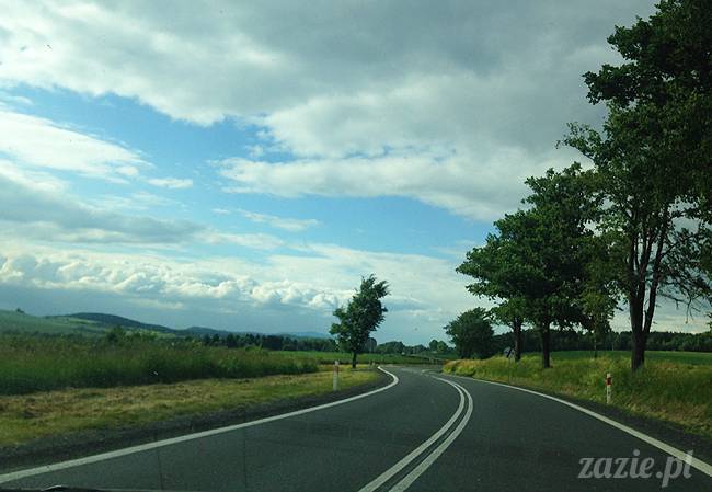 czerwcowe wakacje we Wrocławiu, Syd i Zaz oraz mopsiki Kumok i Miszur