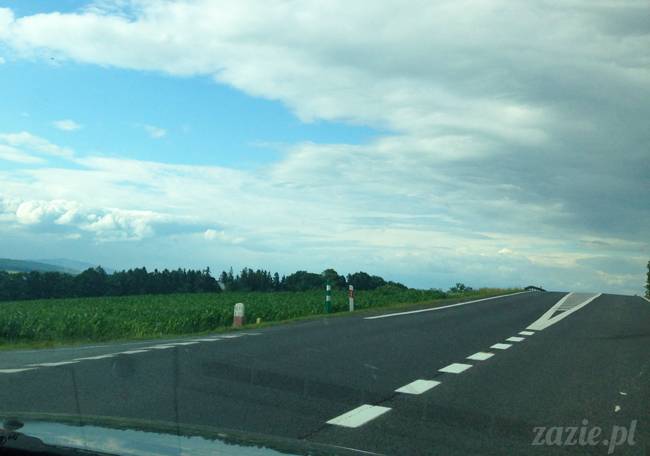 czerwcowe wakacje we Wrocławiu, Syd i Zaz oraz mopsiki Kumok i Miszur