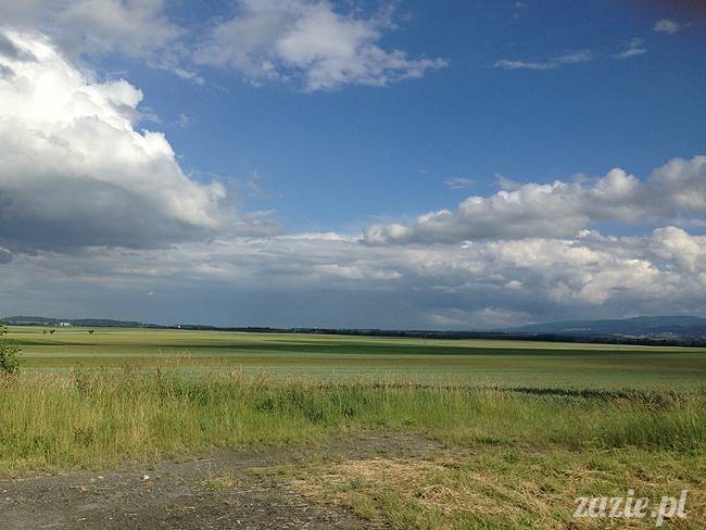 czerwcowe wakacje we Wrocławiu, Syd i Zaz oraz mopsiki Kumok i Miszur