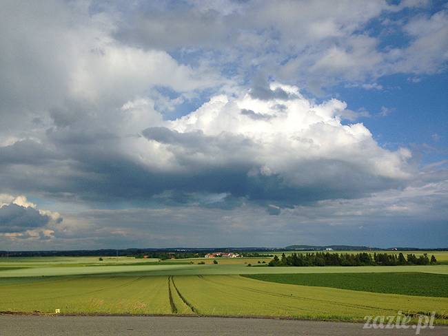 czerwcowe wakacje we Wrocławiu, Syd i Zaz oraz mopsiki Kumok i Miszur