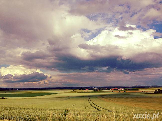 czerwcowe wakacje we Wrocławiu, Syd i Zaz oraz mopsiki Kumok i Miszur