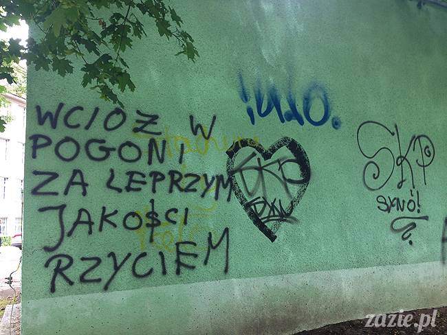 czerwcowe wakacje we Wrocławiu, Syd i Zaz oraz mopsiki Kumok i Miszur