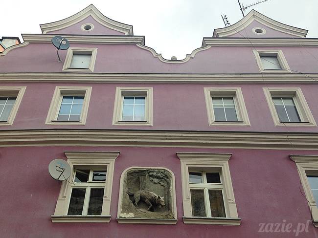 czerwcowe wakacje we Wrocławiu, Syd i Zaz oraz mopsiki Kumok i Miszur