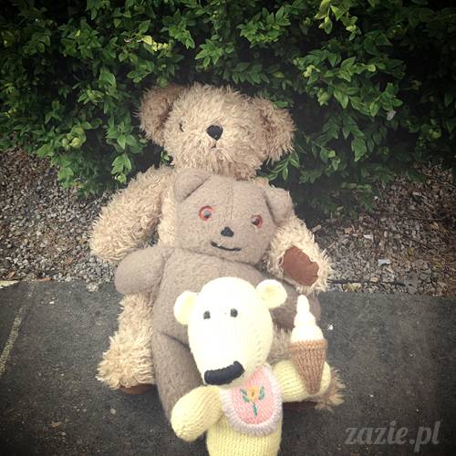 czerwcowe wakacje we Wrocławiu, Syd i Zaz oraz mopsiki Kumok i Miszur