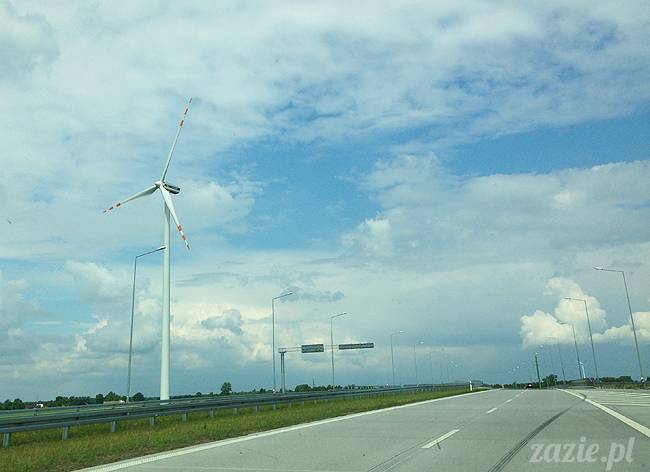 czerwcowe wakacje we Wrocławiu, Syd i Zaz oraz mopsiki Kumok i Miszur