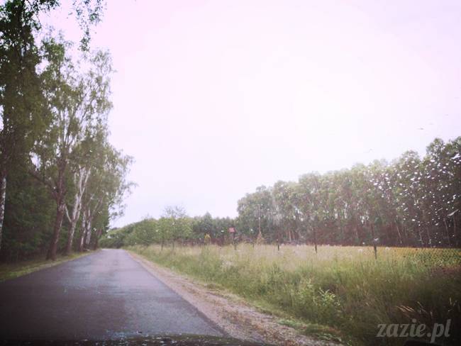 czerwcowe wakacje we Wrocławiu, Syd i Zaz oraz mopsiki Kumok i Miszur