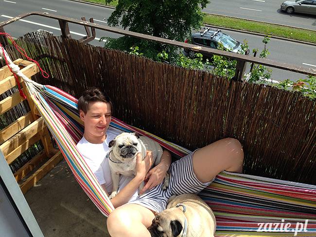 domowo_kumok_miszur_zazie_syd_02