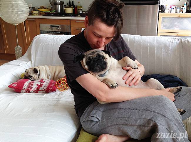 domowo_kumok_miszur_zazie_syd_20