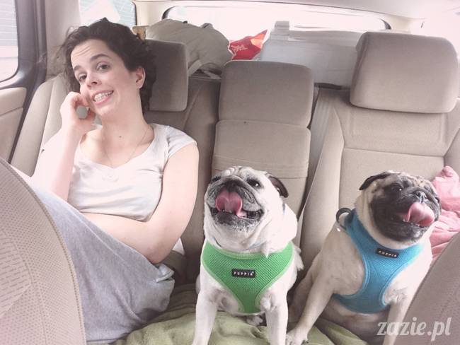 krakow_czerwiec_zazie_mopsy_04