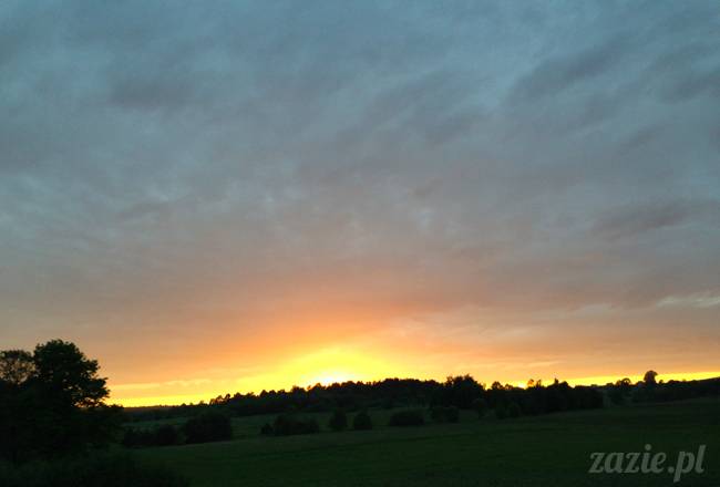 krakow_czerwiec_zazie_mopsy_07