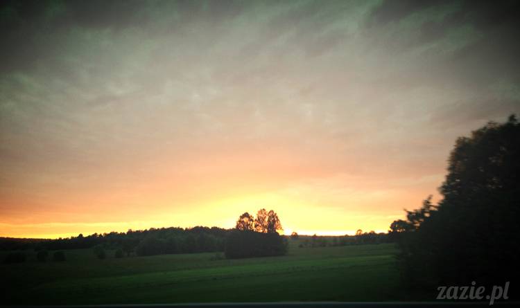 krakow_czerwiec_zazie_mopsy_08