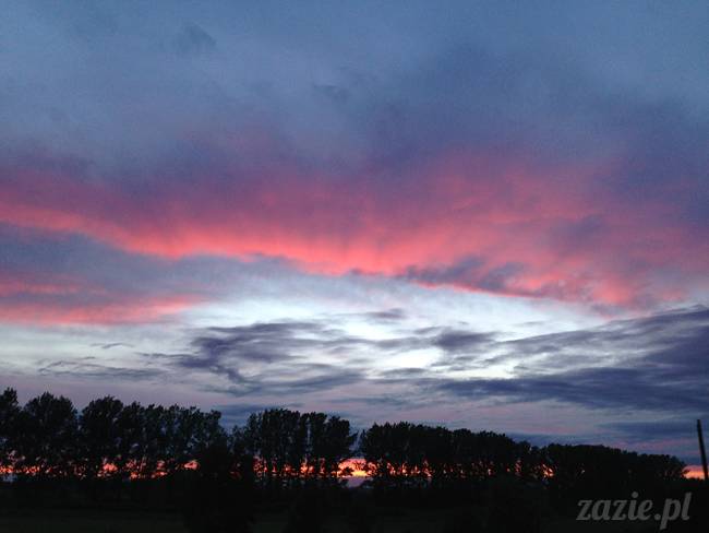 krakow_czerwiec_zazie_mopsy_09