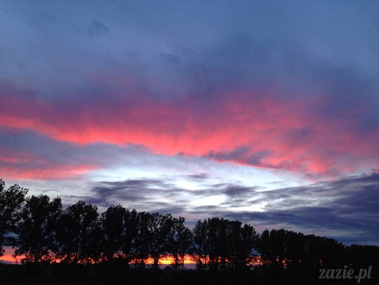 krakow_czerwiec_zazie_mopsy_10