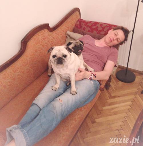 krakow_czerwiec_zazie_mopsy_14