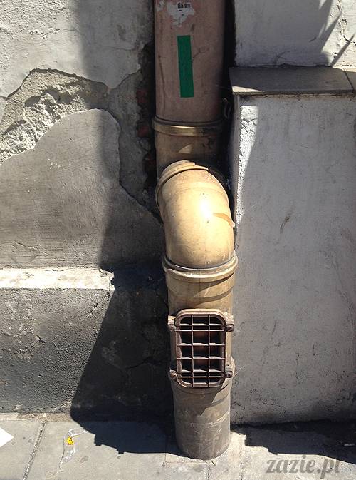 krakow_czerwiec_zazie_mopsy_51