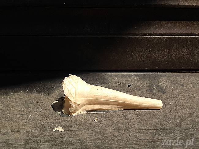 krakow_czerwiec_zazie_mopsy_51a