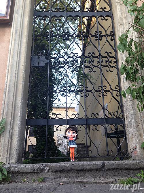 krakow_czerwiec_zazie_mopsy_59
