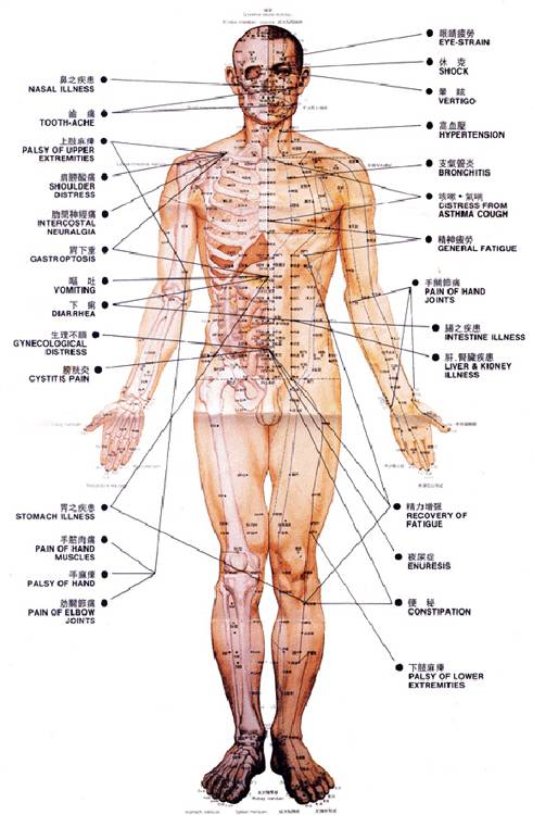 akupunktura_meridiany