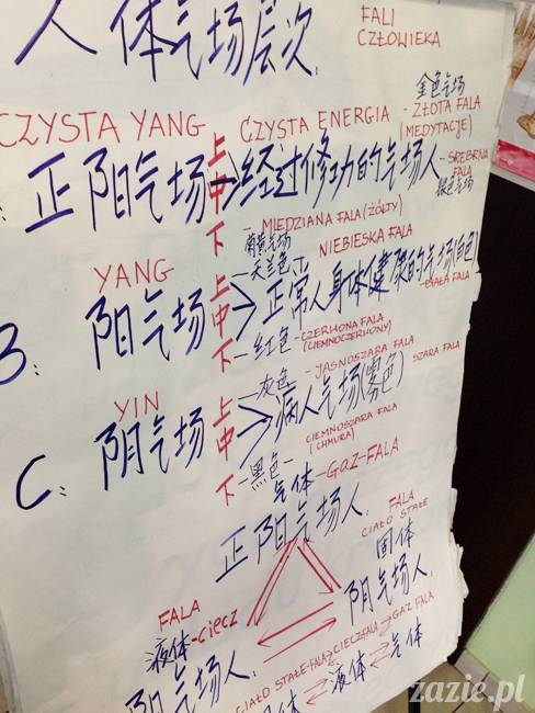 akupunktura, tradycyjna medycyna chińska, chińskie zioła, ziołolecznictwo, Klinika Mistrza Zhang, masaż leczniczy Tui Na, Qi Gong, shifu Zhang Feng Jun