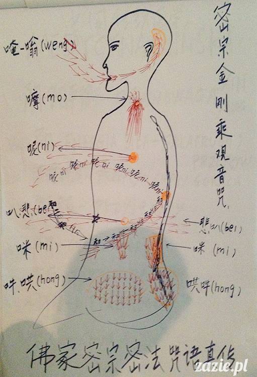 akupunktura, tradycyjna medycyna chińska, chińskie zioła, ziołolecznictwo, Klinika Mistrza Zhang, masaż leczniczy Tui Na, Qi Gong, shifu Zhang Feng Jun