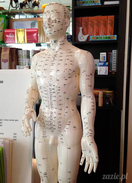 akupunktura, tradycyjna medycyna chińska, chińskie zioła, ziołelecznictwo, Klinika Mistrza Zhang, masaż leczniczy Tui Na, Qi Gong, shifu Zhang Feng Jun