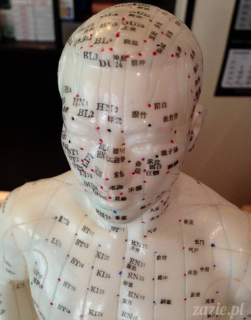 akupunktura, tradycyjna medycyna chińska, chińskie zioła, ziołelecznictwo, Klinika Mistrza Zhang, masaż leczniczy Tui Na, Qi Gong, shifu Zhang Feng Jun