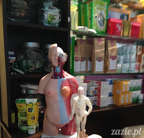 akupunktura_tradycyjna_medycyna_chinska_0c